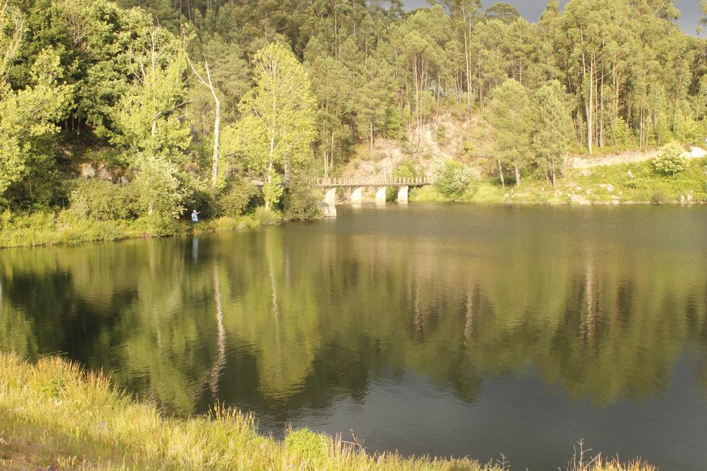 Casa Da Nininha Villa Vale de Cambra Dış mekan fotoğraf